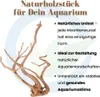 Moorkienholz Aquariumwurzel 15-25 cm Größe M, sinkend, für Produktbild-Vorschau 2