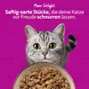 Whiskas 1+ Katzennassfutter Ragout Geflügel Auswahl in Produktbild-Vorschau 7