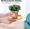 Hands holding a small potted plant on a yellow saucer. Produktbild-Vorschau