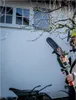 A person is using a telescopic pole saw to trim branches from a tree in front of a white house. Podgląd zdjęcia produktu