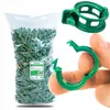 ARPON Tomatenpflanzen-Stielclips, 1000 Stück, 2 cm, für Produktbild-Vorschau 1