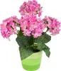 Hortenzie růžová 5 květů v keramickém květináči 33x27 cm Náhled obrázku produktu 6