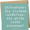 Mr. & Mrs. Panda Glückwunschkarte Spruch Chihuahua Liebe - Produktbild-Vorschau 1