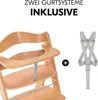 Hauck Hochstuhl Alpha Plus - im Sparset Produktbild-Vorschau 9