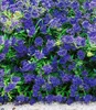 BALDUR Garten 1x Zierstrauch Bartblume 'Blauer Spatz®' , Produktbild-Vorschau 3
