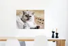 MuchoWow® Poster Perserkatze auf weichem Boden 90x60 cm - Produktbild-Vorschau 5