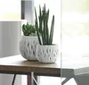 Two white planters with wavy designs sit on a wooden table in front of a window. Náhľad obrázku produktu