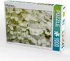 Calvendo Weiße Hortensie 1000 Teile Puzzle quer 640x480mm, Produktbild-Vorschau 1