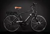 Fahrrad Rahmen Aufkleber Schriftzug Set Decal Bike silber Produktbild-Vorschau 2