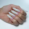 Acrylgel Polygel Aufbaugel für Extensions AcrylGel Molly Produktbild-Vorschau 5