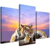 Triptychon auf leinwand tiger vor einem Produktbild-Vorschau 1