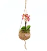 Kokodama Phalaenopsis (L) Náhľad obrázku produktu 5