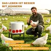 Distributeur de nourriture pour poulets Peviasot, capacité Voir les images du produit 8