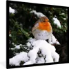 MuchoWow® Gerahmtes Poster Rotkehlchen - Baum - Schnee Produktbild-Vorschau 1