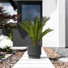 Blumentopf MILLA anthrazit 29,8 cm Produktbild-Vorschau 4