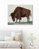 Zuty - Malen nach Zahlen - BISON (I. VAN HAASTERT), 40x50 Produktbild-Vorschau 2
