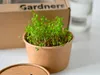 Gardners "Grow Your Own" Microgreens Refill Kit M, 5 Náhľad obrázku produktu 2