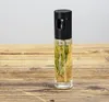 Rozpylacz do oleju lub octu, 100 ml, Nevo, WENKO Podgląd zdjęcia produktu 9