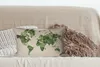 MuchoWow® Zierkissen Sofakissen Wohnzimmer Dekokissen 50x30 Produktbild-Vorschau 4