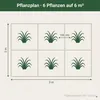 Stauden Gänge 1 x Cortaderia selloana 'Evita' im 1 Liter Produktbild-Vorschau 10
