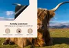 KitchenYeah© Herdabdeckplatte Schottische Highlander - Produktbild-Vorschau 4
