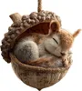 A sleeping squirrel curled up inside a hollowed-out acorn. Produktbild-Vorschau