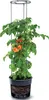 Sadzač paradajok GROWER antracitový 35 cm Náhľad obrázku produktu 6