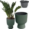 A plant in a pot and an empty pot are displayed against a white background. Produktbild-Vorschau