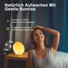 Tageslichtwecker, Tageslichtwecker Lichtwecker Produktbild-Vorschau 5