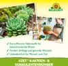 Neudorff Azet Kakteen und SukkulentenDünger - 250 ml Produktbild-Vorschau 4