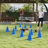 PawHut Agility Set voor Honden: 6-delige agility-uitrusting Productafbeelding-voorbeeld 2