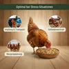 Leimüller Mangime anti-stress per polli contro gli acari 25 Anteprima dell’immagine prodotto 4
