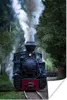 MuchoWow® Poster Eine Dampflokomotive in den grünen Wäldern Produktbild-Vorschau 1