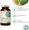 Nature Basics® Natürliches Sulforaphan (Brokkoli Extrakt)   Produktbild-Vorschau 2
