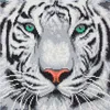 CRAFT Buddy White Tiger, Bastelset für Kinder, 6 Jahr(e), Produktbild-Vorschau 2