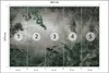 Muralo Selbstklebende Fototapete für Wohnzimmer DSCHUNGEL Produktbild-Vorschau 2