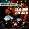 BigDean Dekokugel Schwimmkugeln Silber - Teichkugeln für Produktbild-Vorschau 5