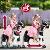 Cheval mécanique Ponnie Domino S avec selle rose Voir les images du produit 12
