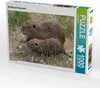 CALVENDO Puzzle NUTRIA mit Nachwuchs | 1000 Teile Produktbild-Vorschau 1