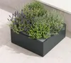 Herstera Garden Cube Low L flacher Outdoor Pflanzkasten Produktbild-Vorschau 2