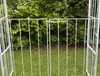 DanDiBo Rosenbogen Verzinkt Massiv mit Tor Tür 140 cm Produktbild-Vorschau 3