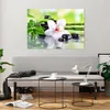 Bilder auf glas - blume orchidee - 100x70cm - Glasbilder - Produktbild-Vorschau 6
