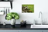MuchoWow® Poster Waschbär - Blumen - Orange 30x20 cm - Produktbild-Vorschau 3