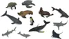 COLLECTA Animaux aquatiques 1, 12 pièces Voir les images du produit 10