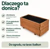 IvoQ Drewniana donica – 80 x 40 x 32 cm – drewno – do Podgląd zdjęcia produktu 7