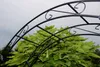 Rosenbogen HOLLAND RUND Gesamtbreite 1,80 m Schwarz Pergola Produktbild-Vorschau 6