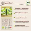 Samenliebe  Gurke Samen | Marketmore - bitterfrei & lange & Produktbild-Vorschau 3