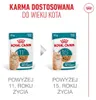 Royal Canin Ageing 11+ Mix Nassfutter 24 x 85 g Stückchen Produktbild-Vorschau 6