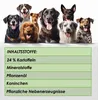 A group of dogs of various breeds and sizes are shown, with a green box below listing ingredients. Podgląd zdjęcia produktu