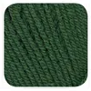 Pro Lana  Hatnut XL 55  50g Farbe 072 Produktbild-Vorschau 1